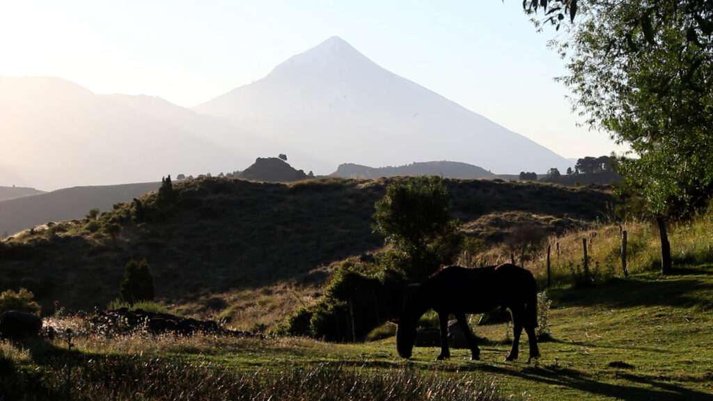 DOCU NEYEN MAPU Para Color60