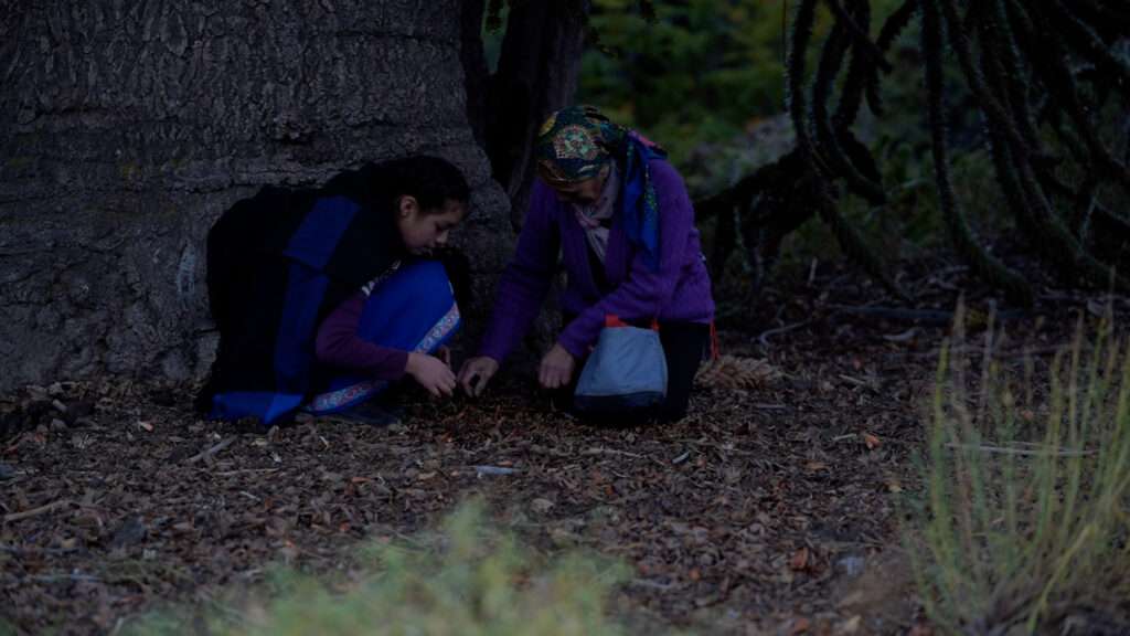 DOCU NEYEN MAPU Para Color80